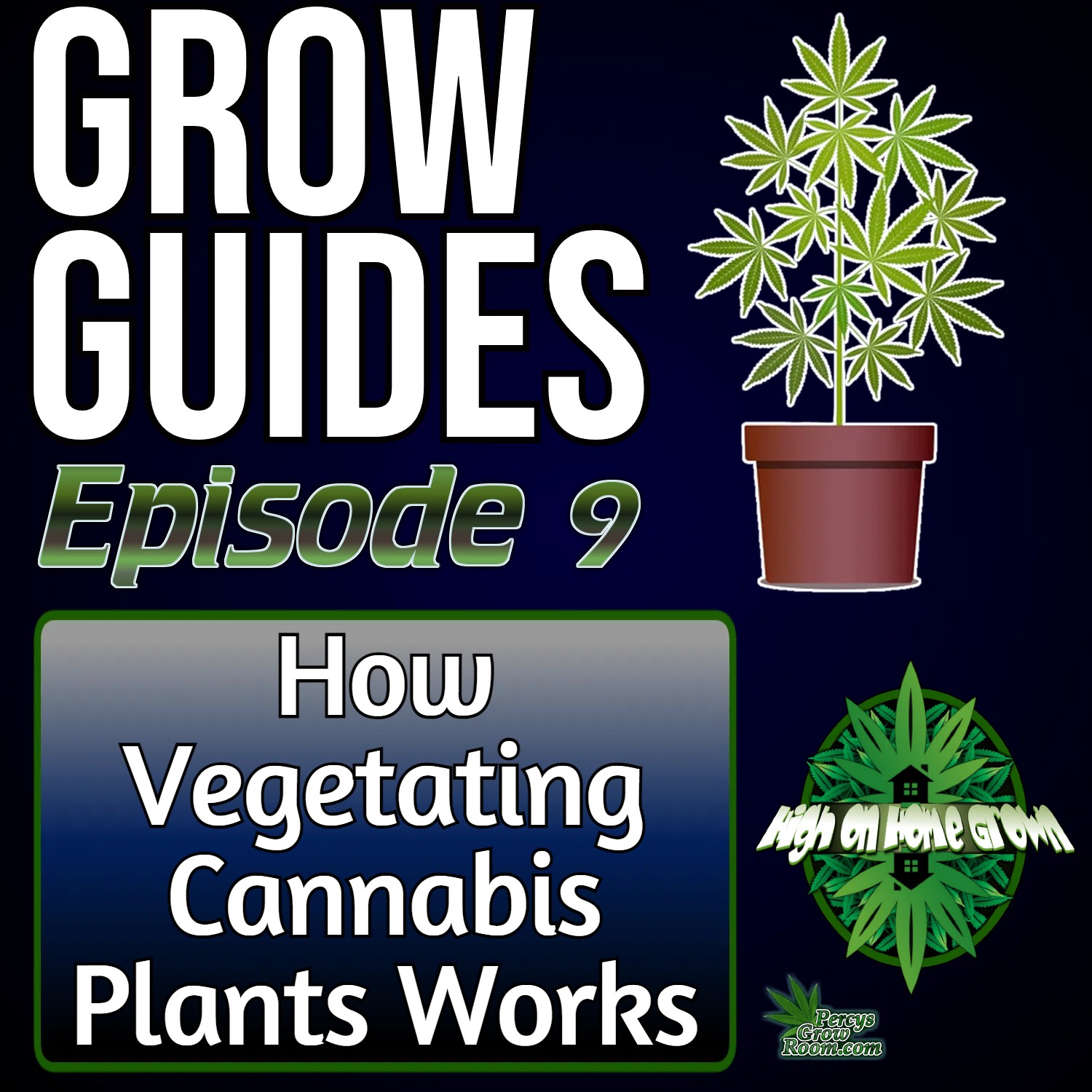 How Vegetating Cannabis Plants Works | Grow Guides Episode 9