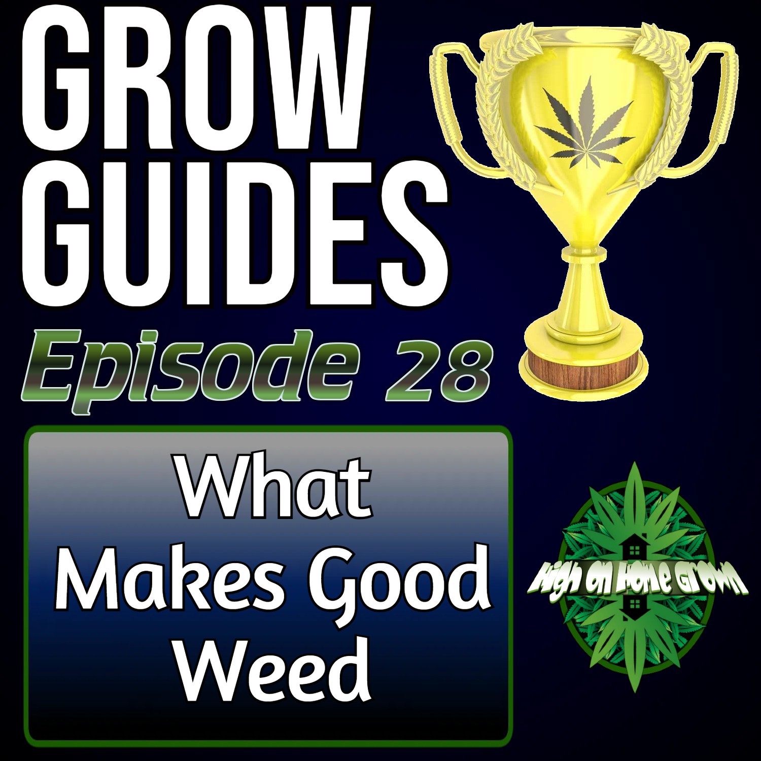 Good Weed vs Bad Weed | Cannabis Grow Guides Episode 28