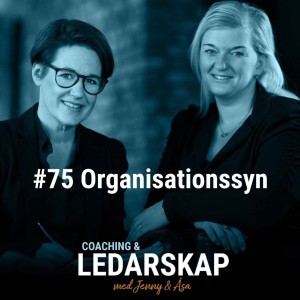 #75 Organisationssyn