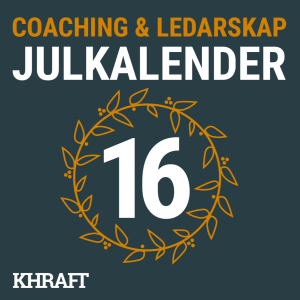 # 16/24 Julkalender Springbook och hopp