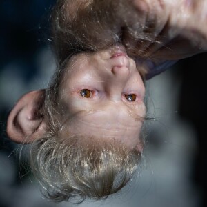 Audio Guide: Patricia Piccinini's We Travel Together