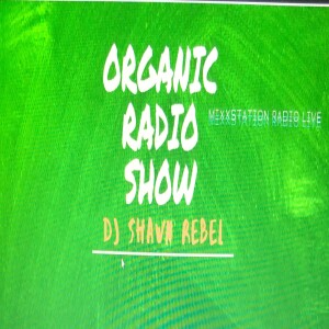 Dj Shawn Rebel Presents Organic Radio Show - Traffic Jam