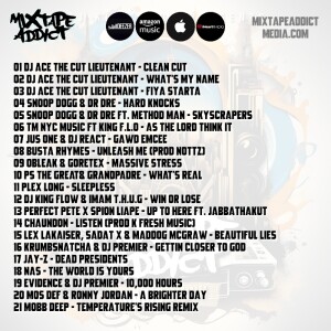 Mixtape Addict Show 29