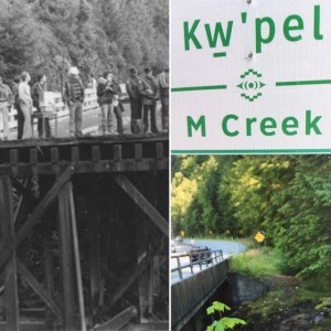 Tragic Tale of M Creek Bridge