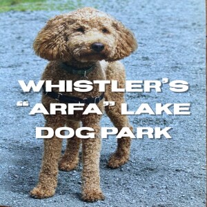 Whistler’s Arfa Lake Dog Park
