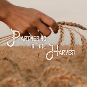 11.18.18 - Partnering in the Harvest - The Soil