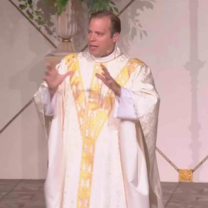"Owner of the Vineyard" - Fr. Mike's Homily - May 2, 2021