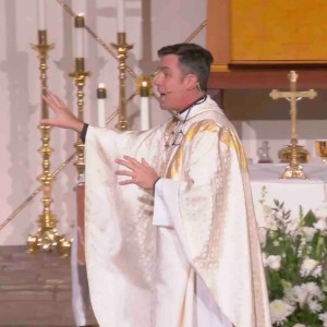 ”Finding peace in our world” - Fr. Richard‘s Homily - November 21, 2021