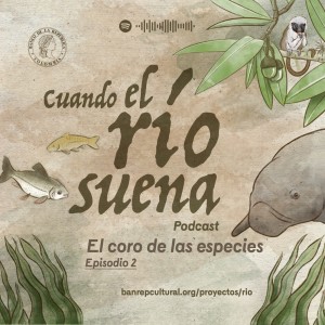 Cuando el río suena • El coro de las especies 2: el latido del río