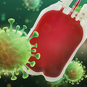 Is Sars-Cov-2 transmitted by blood transfusion?