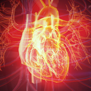 Heart Failure and the role of NT-proBNP