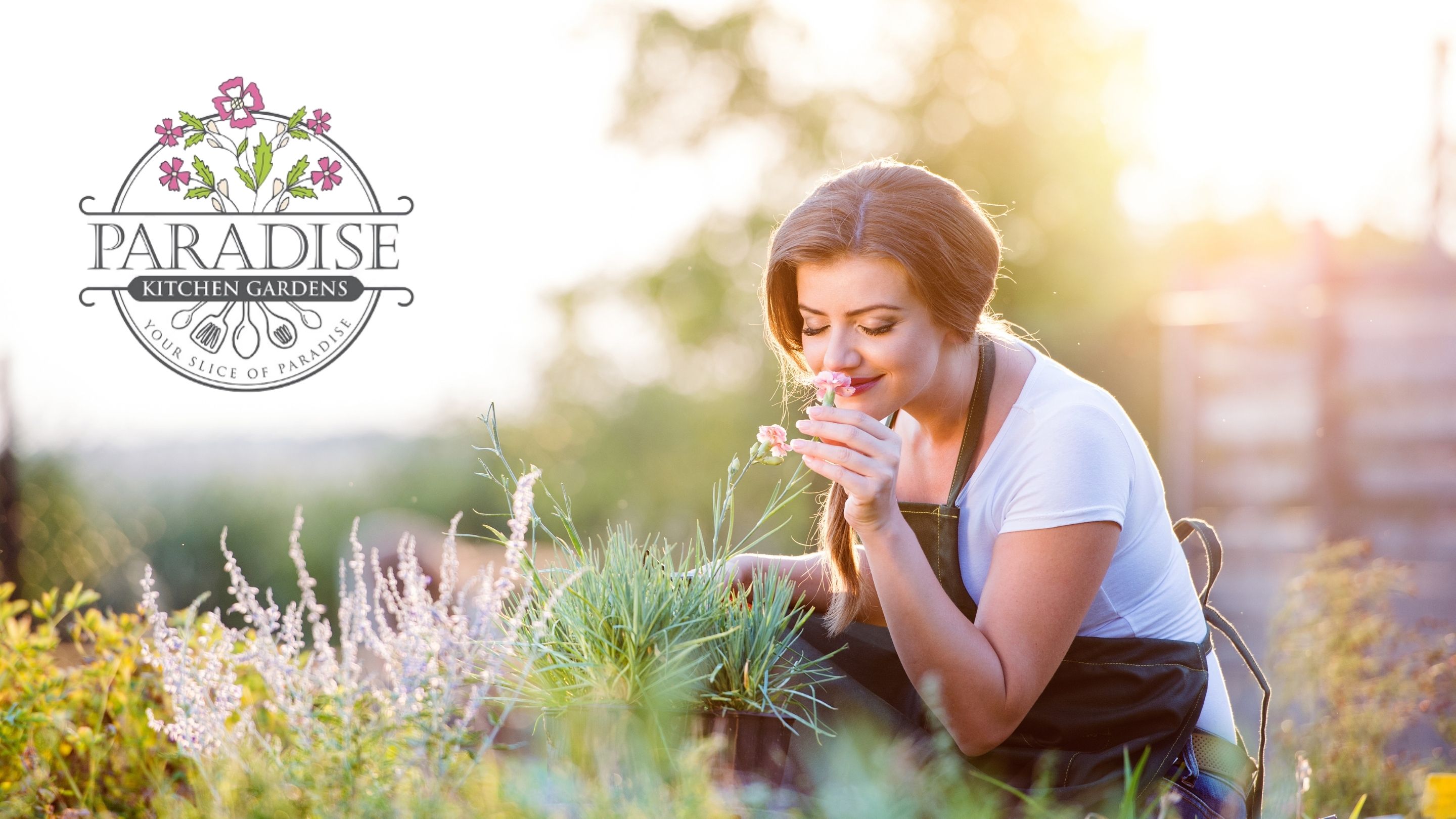 Ace Your Health Podcast