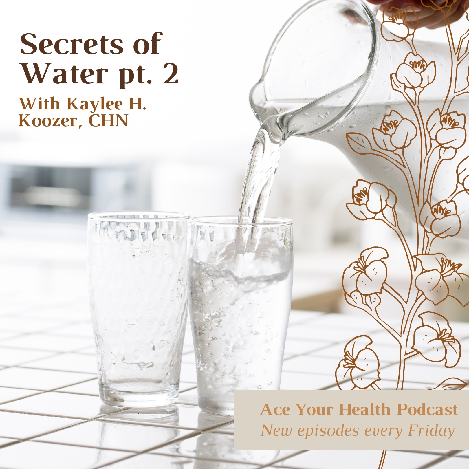 Ace Your Health Podcast