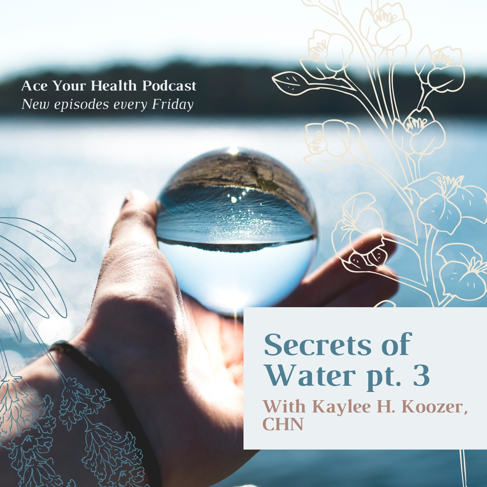 Ace Your Health Podcast