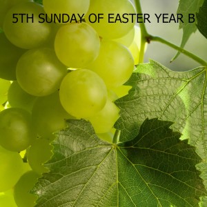 5TH SUNDAY OF EASTER YEAR B
