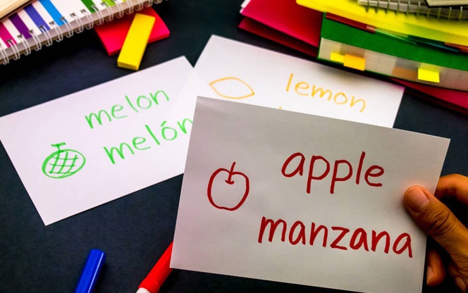 How to make flashcards online?