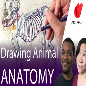 Drawing Animal Anatomy