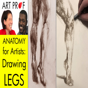 Anatomy for Artists: Leg Bones