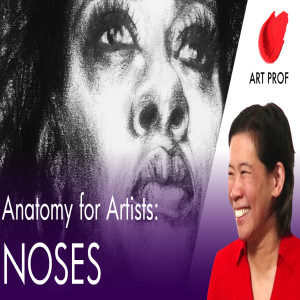 Drawing Noses, Anatomy for Artists