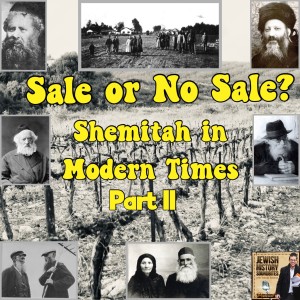 Sale or No Sale? Shemitah in Modern Times Part II