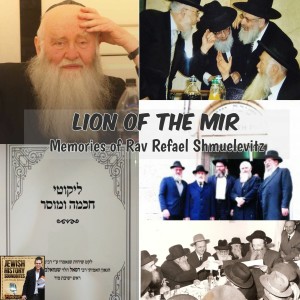Lion of the Mir: Memories of Rav Refael Shmuelevitz