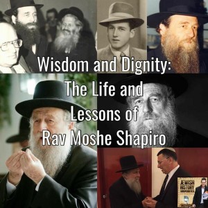 Wisdom & Dignity: The Life and Lessons of Rav Moshe Shapiro