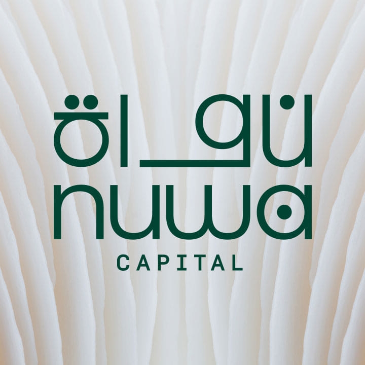 The Nuwa Capital podcast