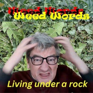 Weed Words: Living under a rock