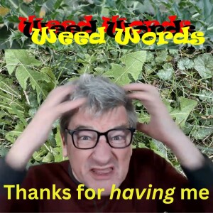Weed Words: Thanks for having me