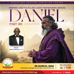 Keeping & Fulfilling God’s Testimonies - Daniel (14)