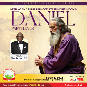 Keeping & Fulfilling God’s Testimonies - Daniel (25)
