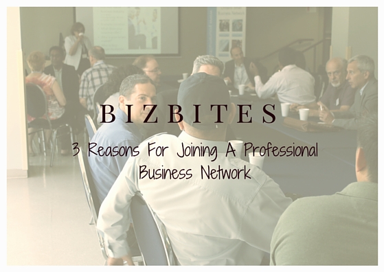 3 Reasons For Joining A Professional Business Network