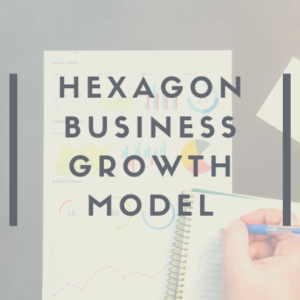 Hexagon Business Growth Model