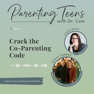 Crack the Co-Parenting Code