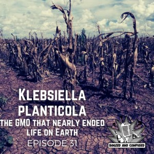 Episode 31: Klebsiella planticola & the GMO that nearly ended life on Earth