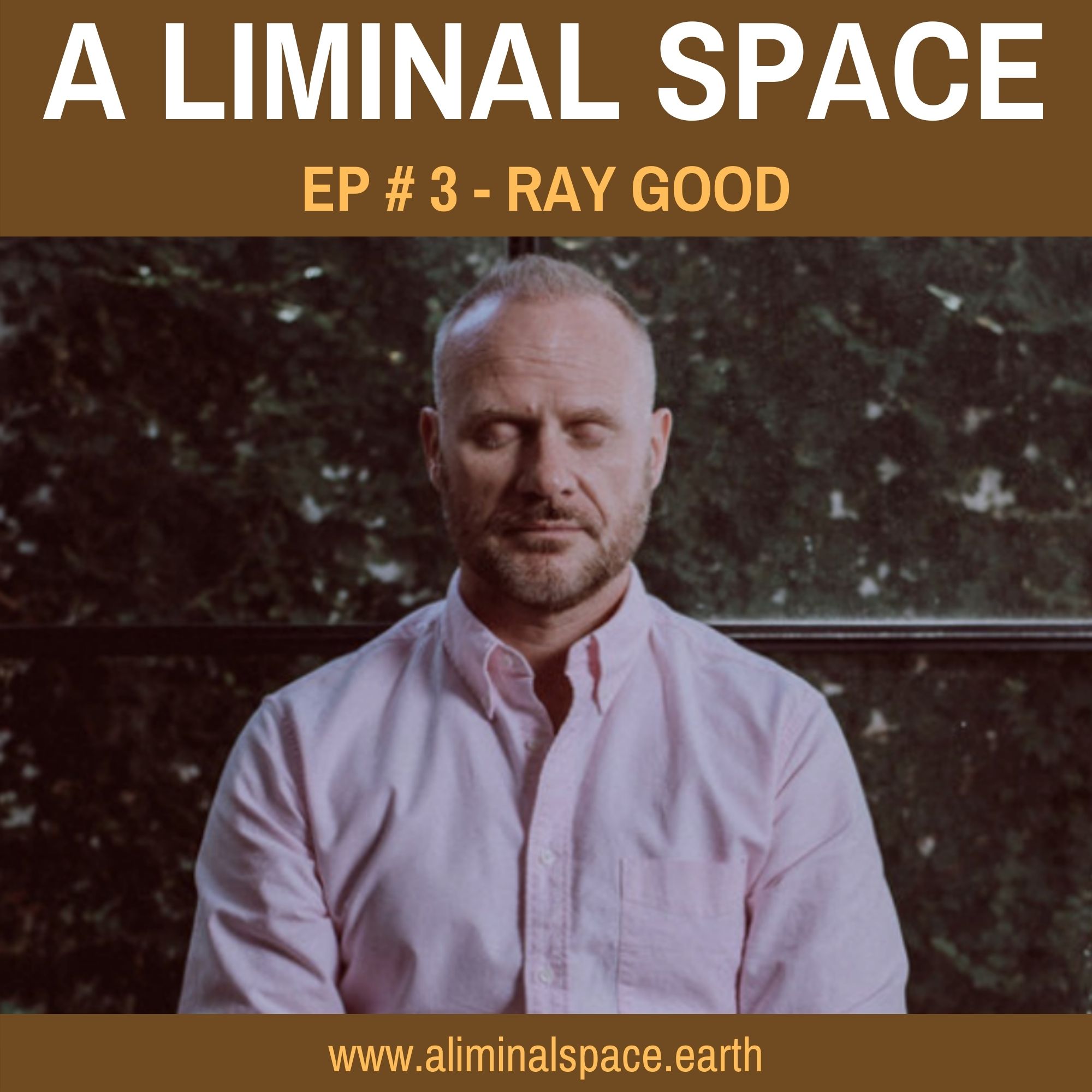 A LIMINAL SPACE
