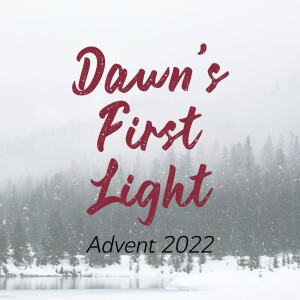 Joy Has Dawned: Third Week of Advent 2022