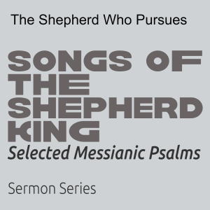 The Shepherd Who Pursues
