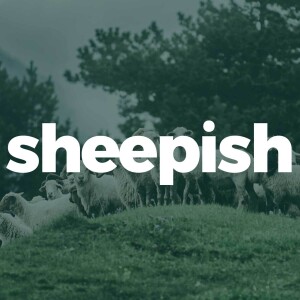 SHEEPISH: The Promise of Life