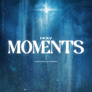 HOLY MOMENTS: When It’s Time to Surrender (Mary)