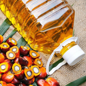 Batana Oil Natures Secret for Beautiful Hair