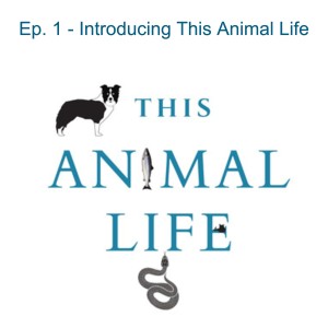 Introducing This Animal Life