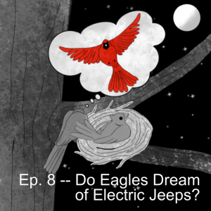 How Do You Know What A Bird Dreams About?