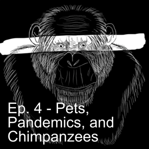 Ferrets, COVID, and Chimps in the Time of Polio