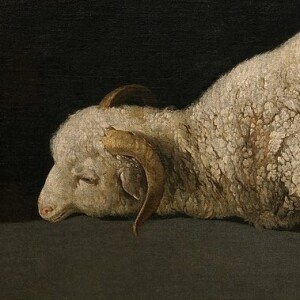 2nd Sunday of Ordinary Time (January 15, 2023): The lion or the lamb.