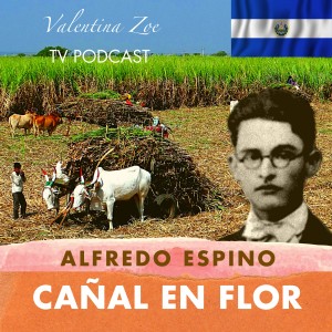 CAÑAL EN FLOR ALFREDO ESPINO 🎋💮 | Poema Cañal en Flor de Alfredo Espino 🍯