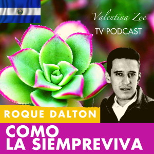 COMO LA SIEMPREVIVA 🌷🌄 ROQUE DALTON | Mi Poesía es como La Siempreviva Roque Dalton | Valentina Zoe