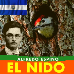 EL NIDO Alfredo Espino🐦🌲 | El Nido Poema de Alfredo Espino🌄 | Poemas de Alfredo Espino Valentina