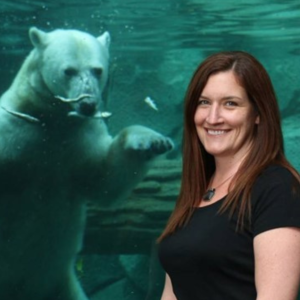 Polar Bears in a Changing Climate with Dr. Erin Curry