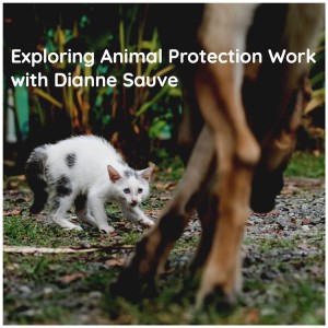 Exploring Animal Protection Work